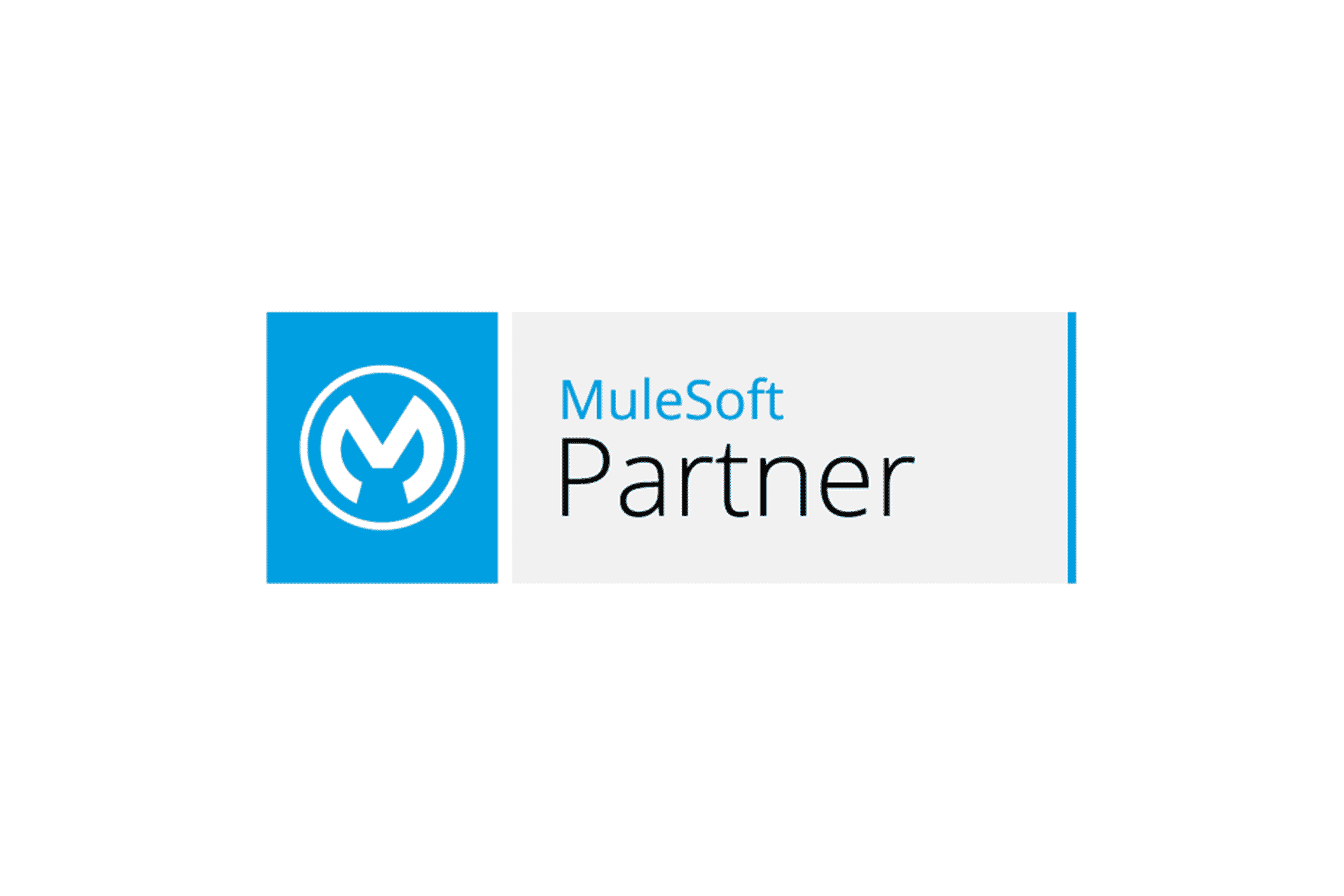 MuleSoft Partner